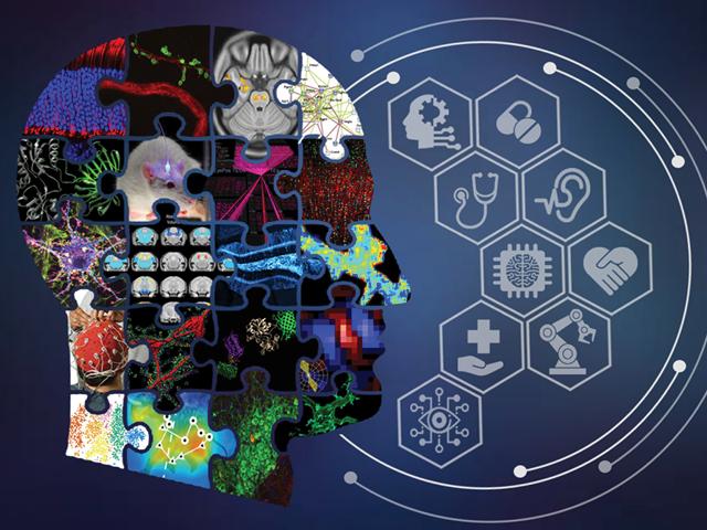 A puzzle in the shape of a brain representing the research areas at the UC Davis Center for Neuroscience 