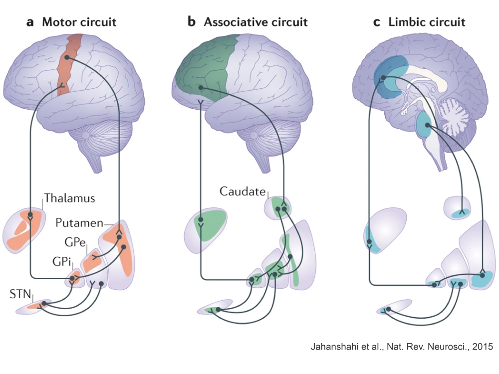 A figure depicting neural networks