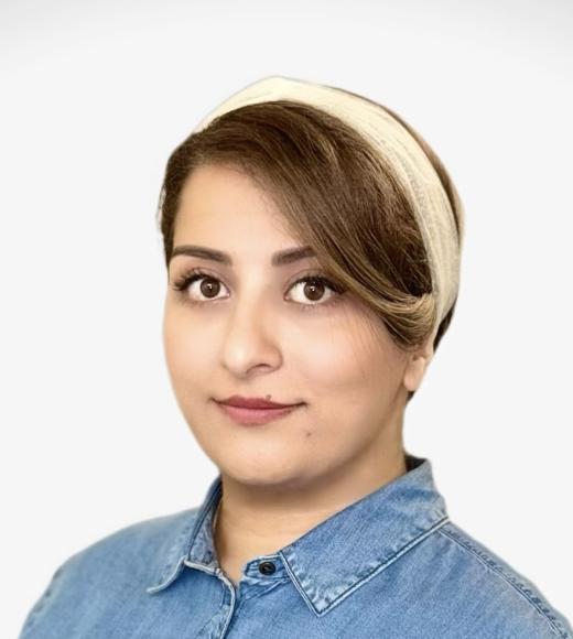 Alavie Mirfathollahi, Phd