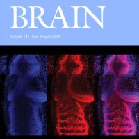 Brain cover