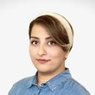Alavie Mirfathollahi, Phd